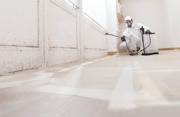 24/7 Emergency Basement Mold Remediation experts in Leesburg, VA