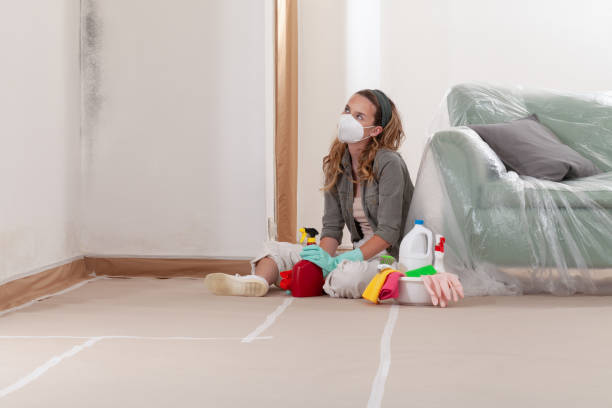 Reliable Basement Mold Remediation contractor in Leesburg, VA by Mold Remediation HQ